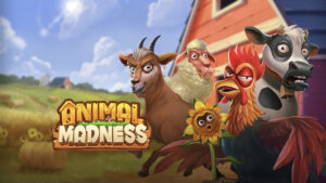 animal-madness-300x169